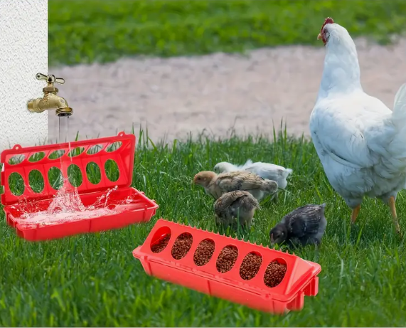 2 keer Kuiken voerbak - Kwartel voerbak