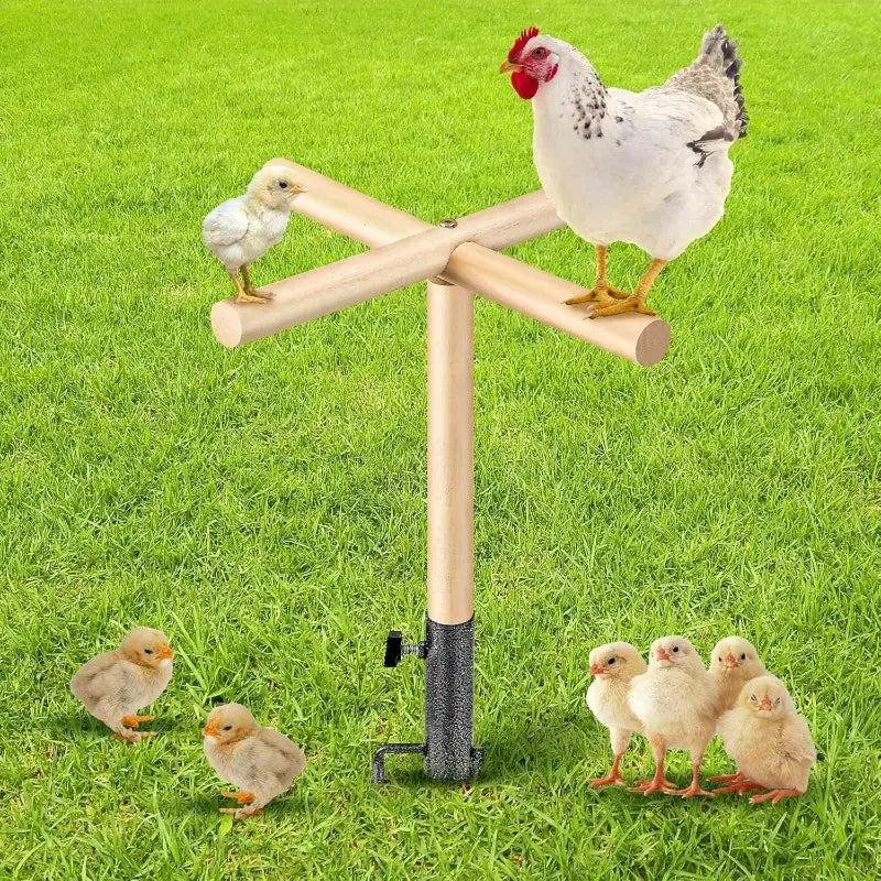 Houten Kippenzitje met Grondpen – Vrijstaand & Verplaatsbaar